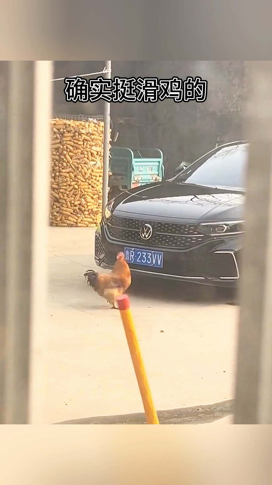 这啥车啊,还挺滑鸡啊