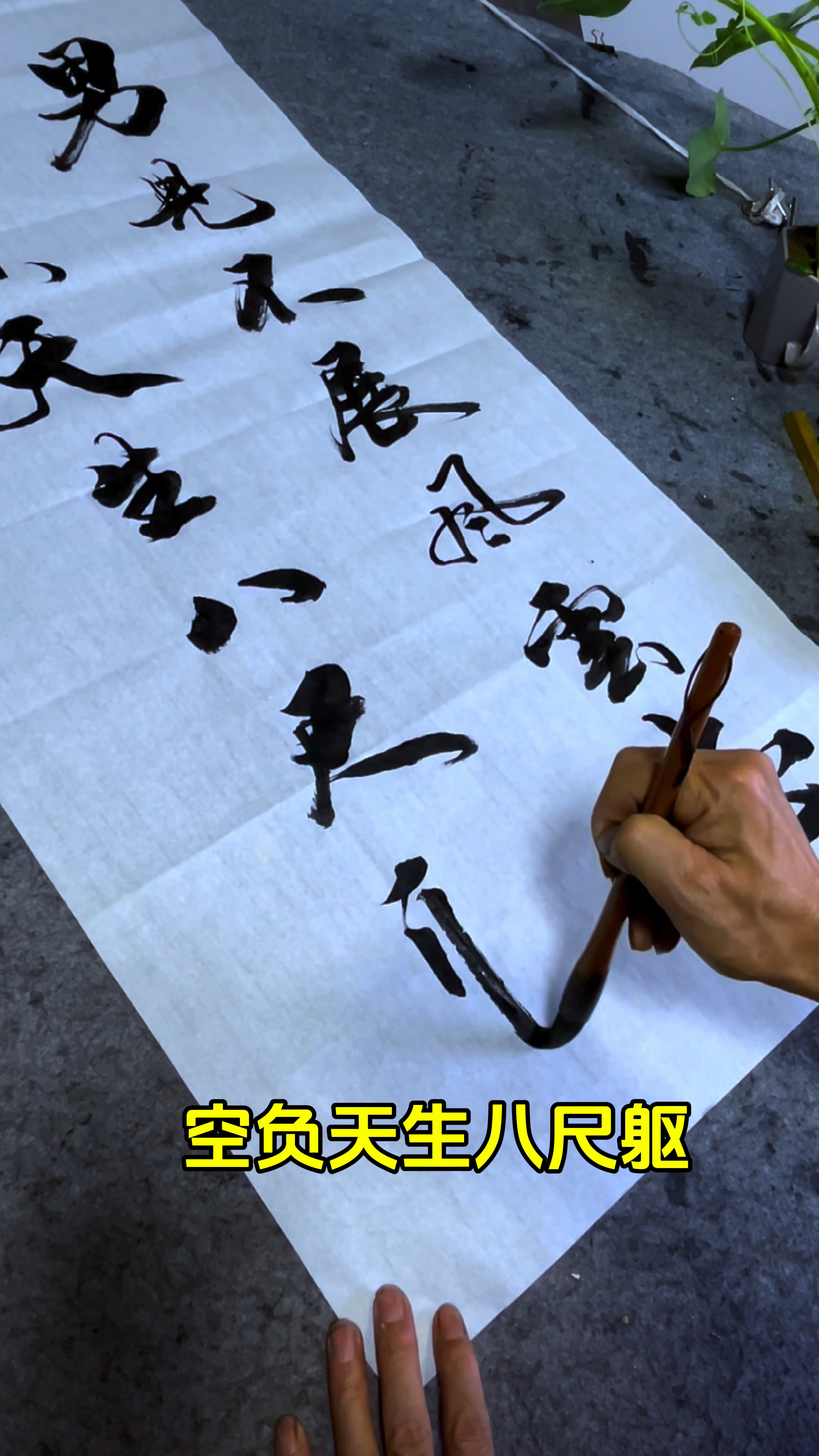 男儿不展风云志,茶室书房客厅书法作品欣赏