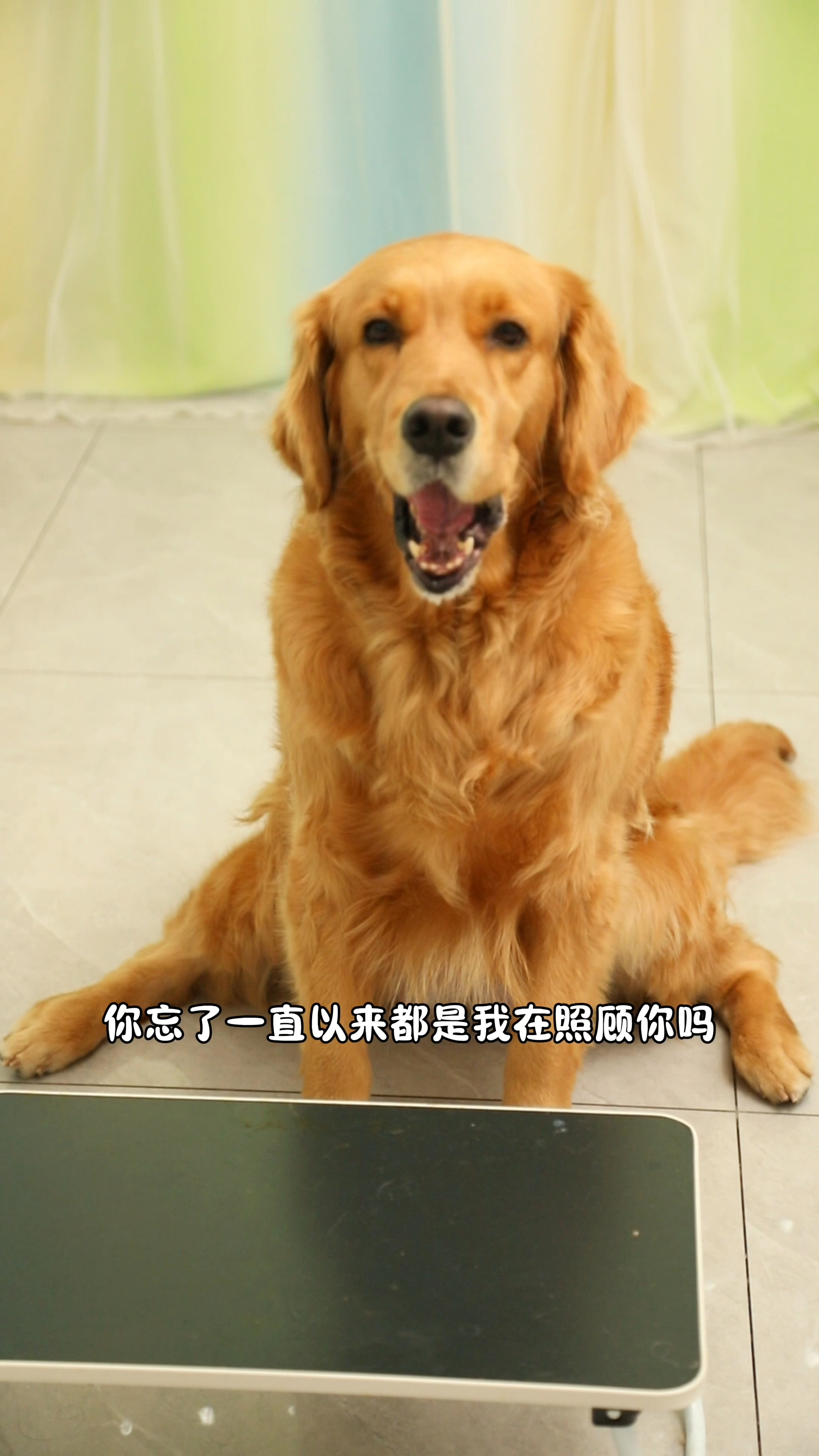 其实奶茶妈妈很爱奶茶
