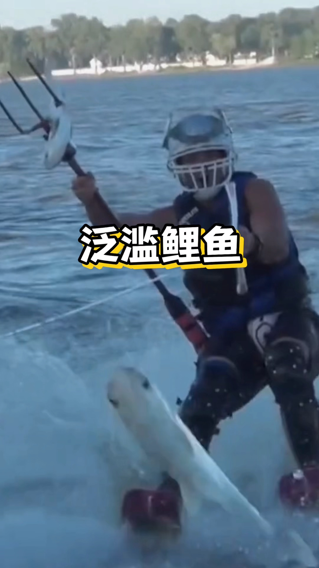 美国河流鲤鱼泛滥#美国#鲤鱼#海外趣闻#海外生活#吃货