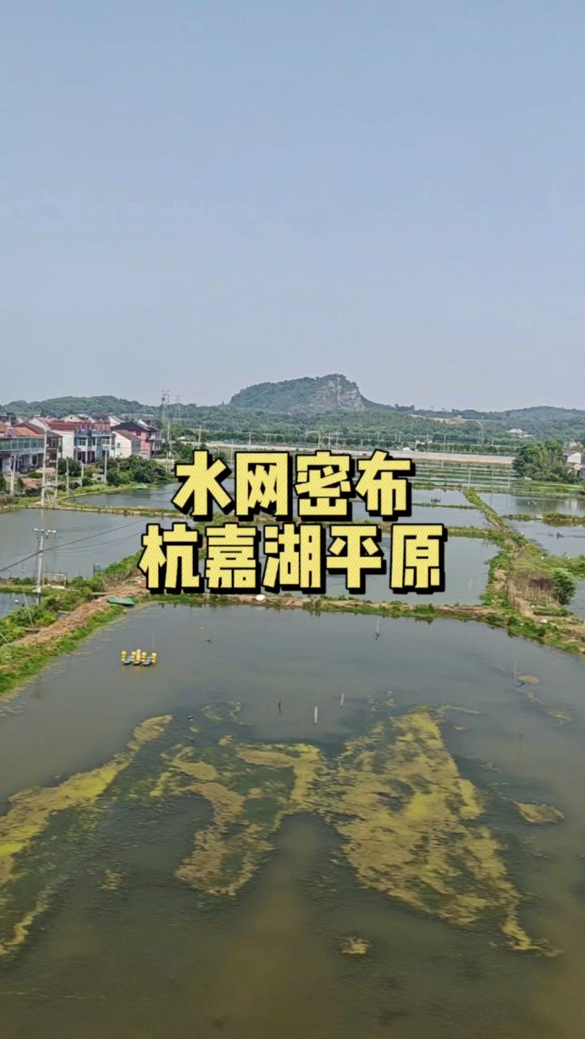 太湖南岸的杭嘉湖平原,这里水网密布水塘交织,鱼米之乡之地