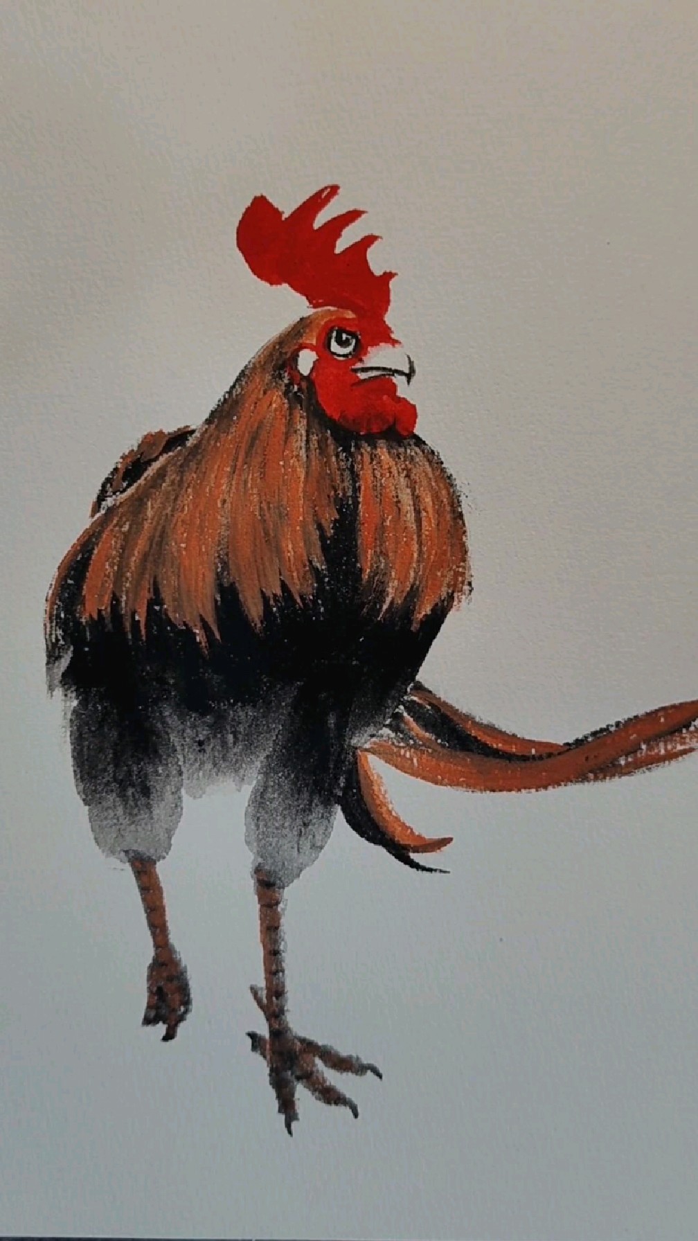 长尾公鸡,一起画画吧!