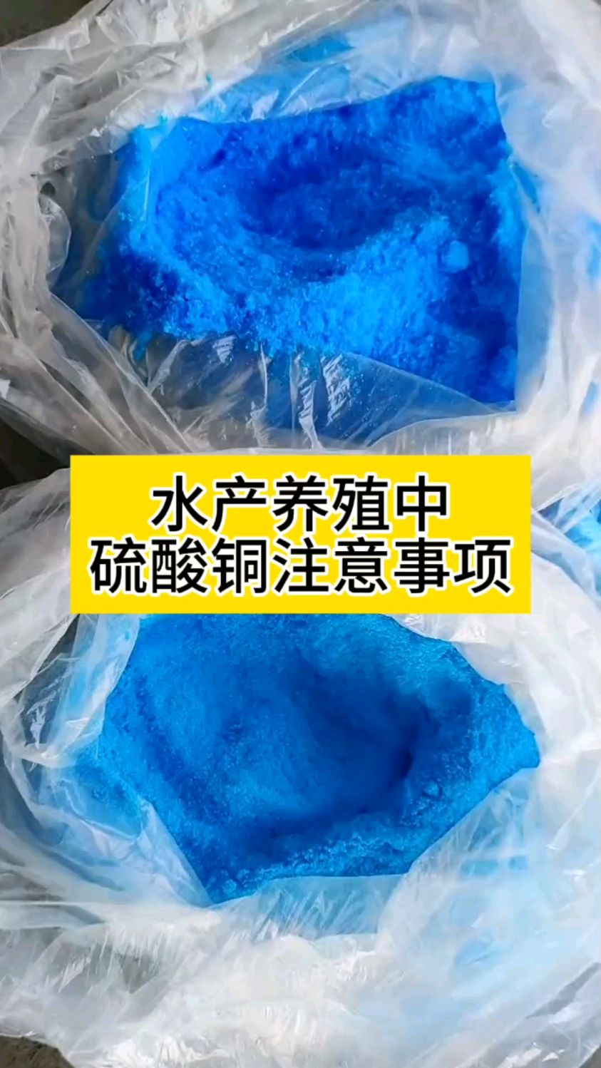 水产养殖中硫酸铜的注意事项