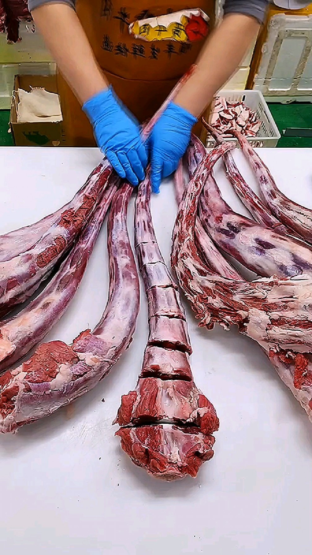 上好的牛尾骨,做个红烧牛尾骨特别好吃