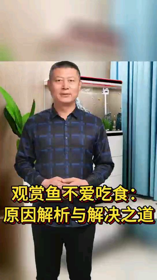 观赏鱼不爱吃食:原因解析与解决之道