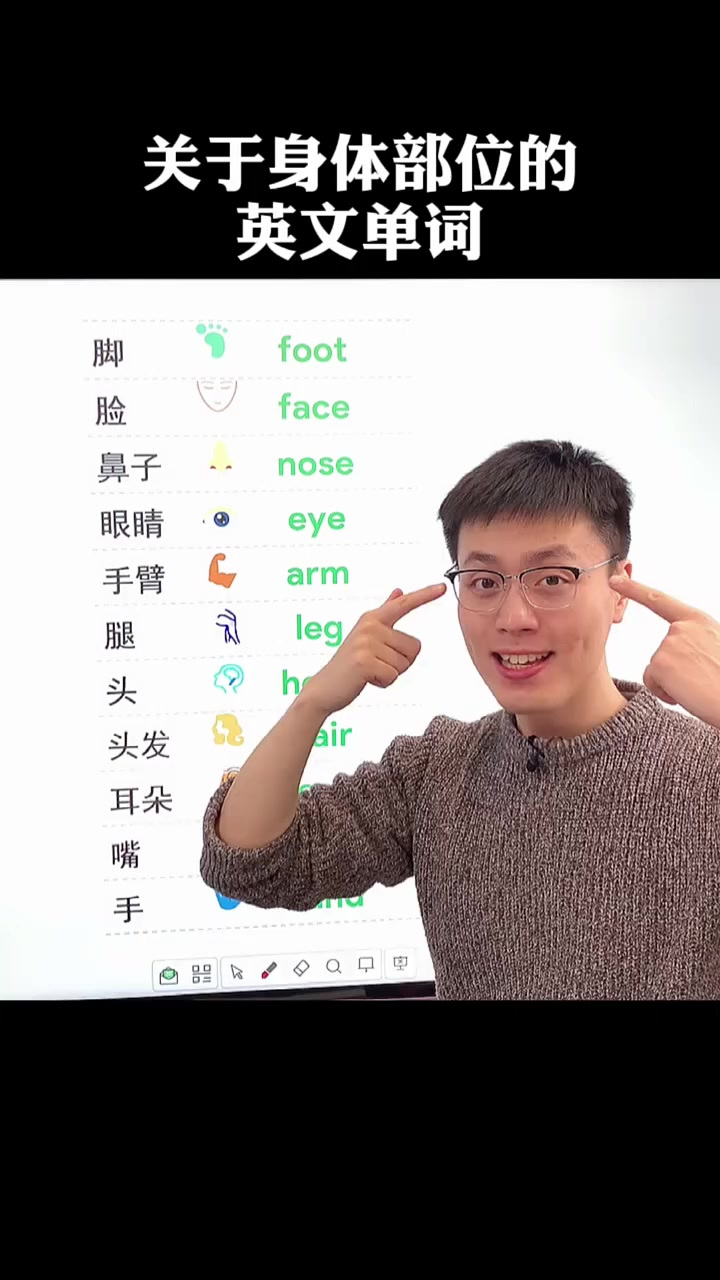 身体部位的英文单词