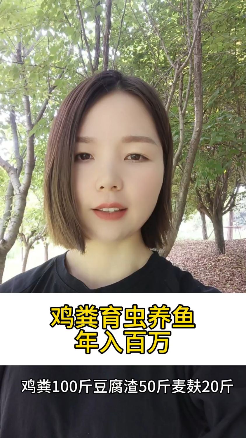 鸡粪育虫养鱼的方法
