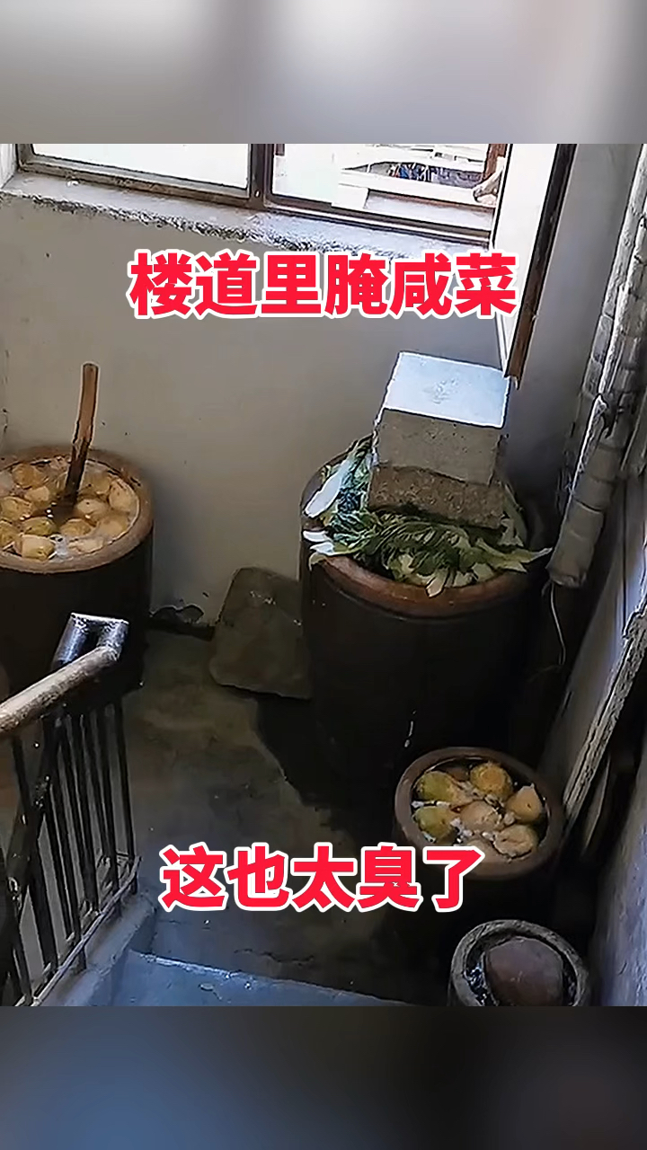 楼道里腌咸菜,这也太臭了!