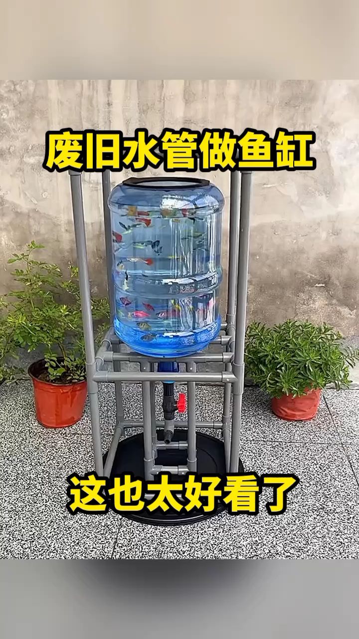 废旧水管做鱼缸,这也太好看了!