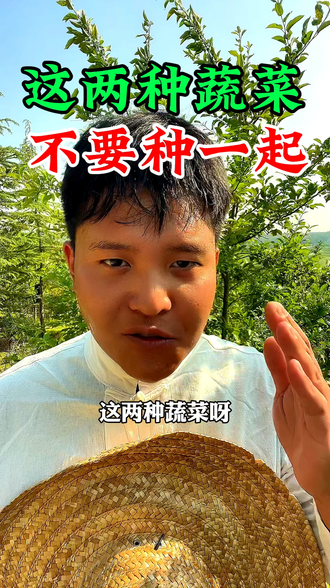 这两种蔬菜最好不要和黄瓜在一起种,一不小心就减产