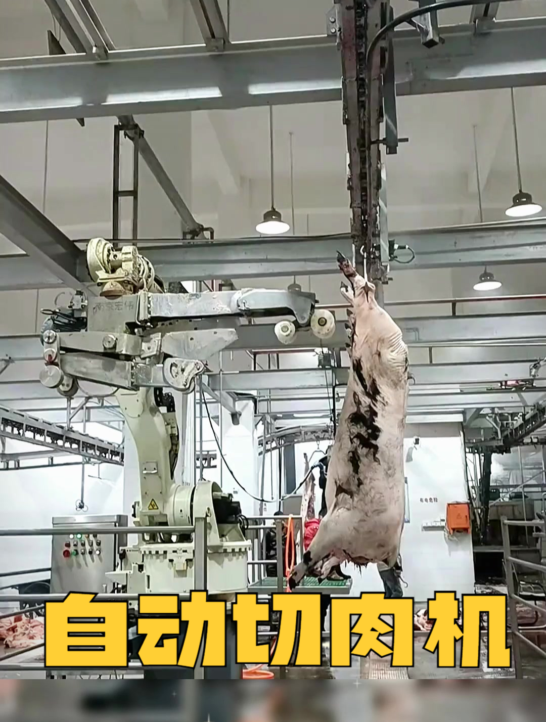 全自动切肉机,真是大开眼界