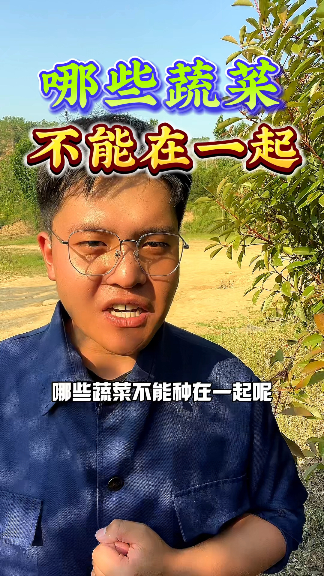 哪些蔬菜种植中,它们不可以种在一起