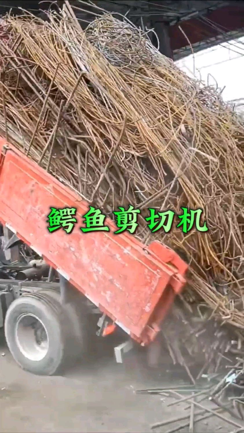 鳄鱼剪切机#金属设备厂家