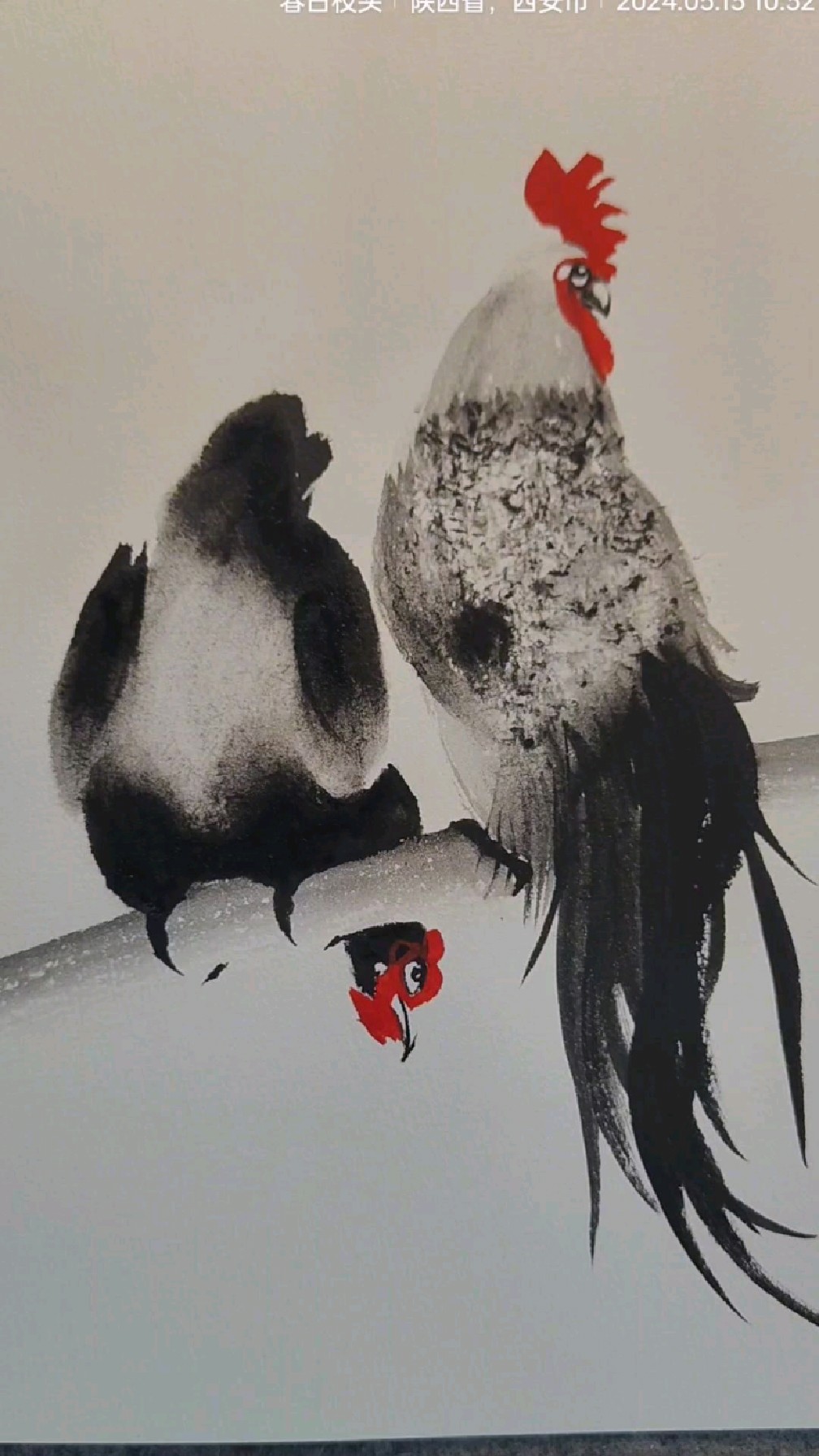 公鸡和母鸡,一起画吧!