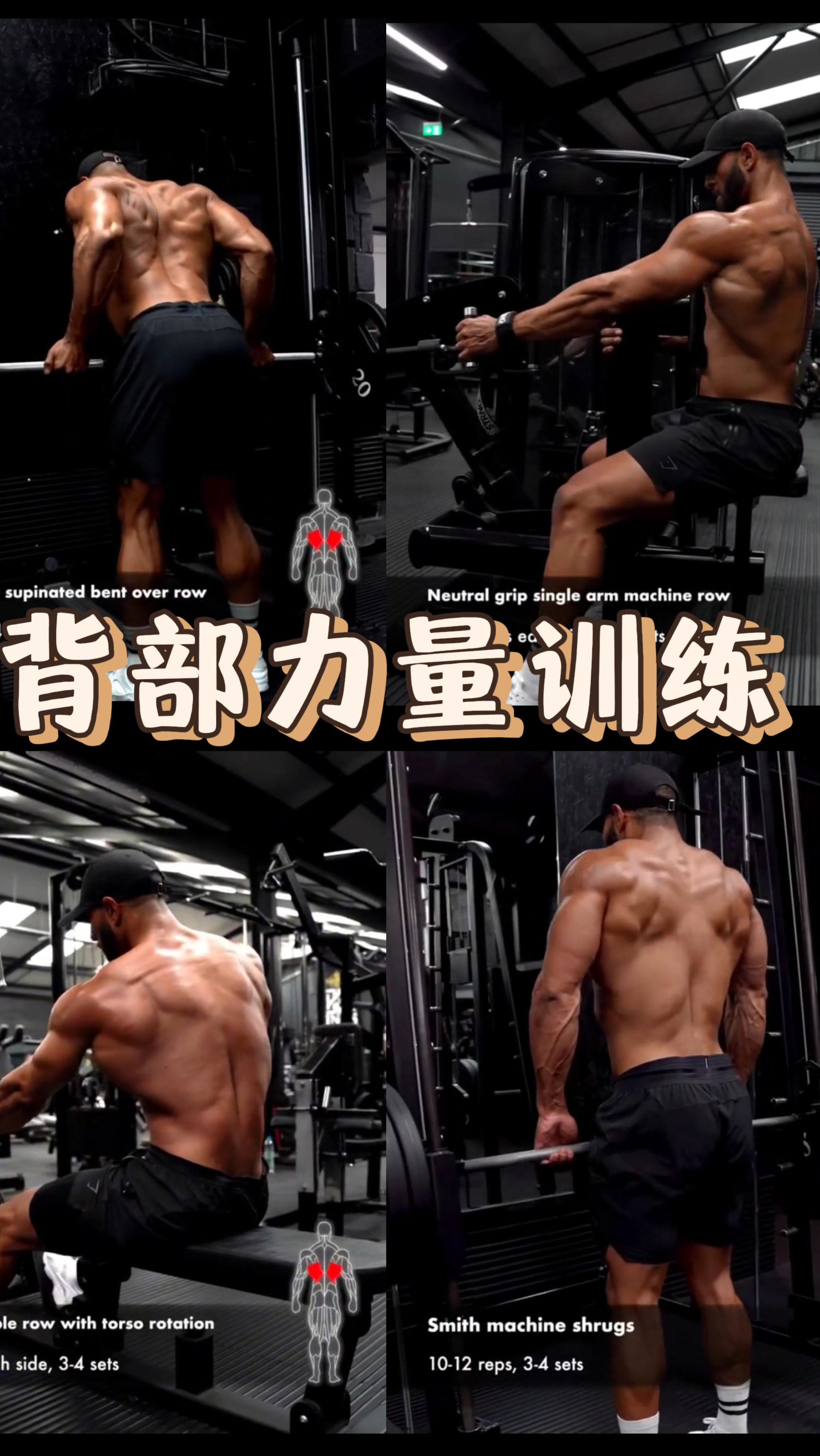 背部肌肉力量训练计划