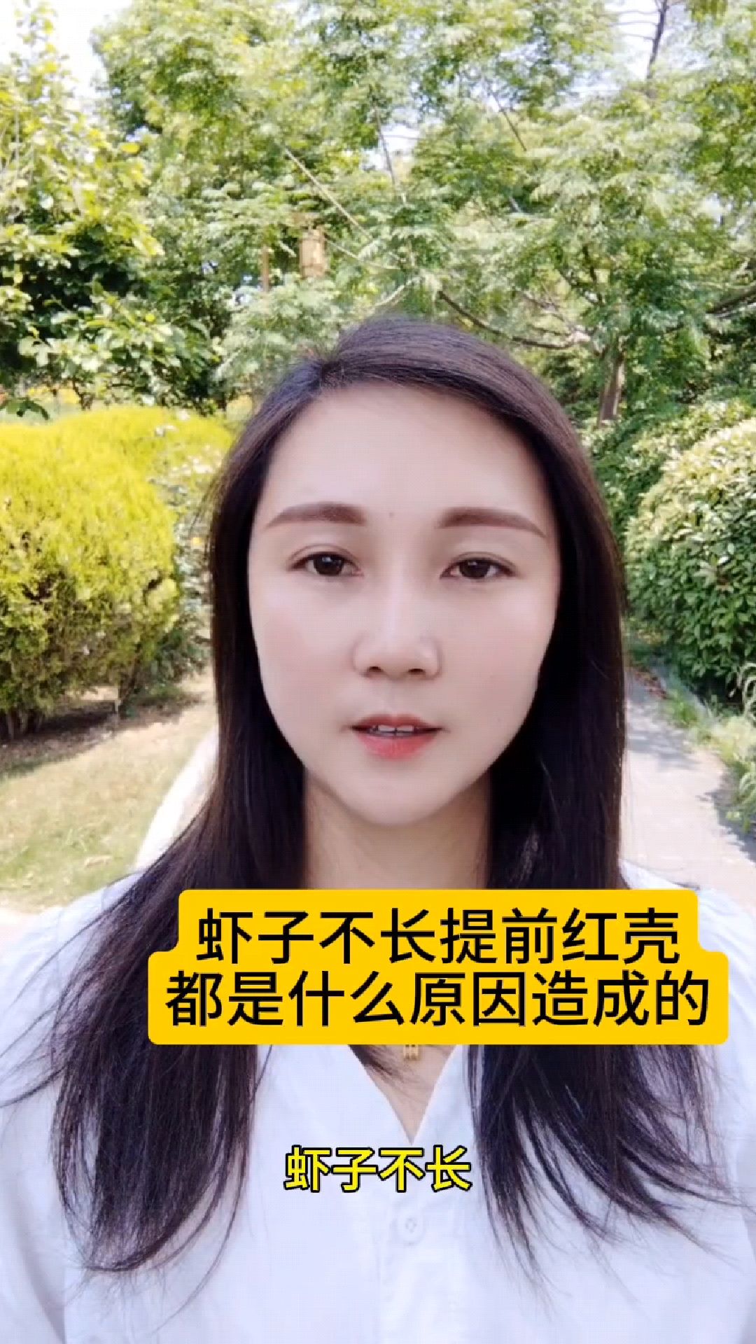 虾子不长提前红壳都是什么原因造成的
