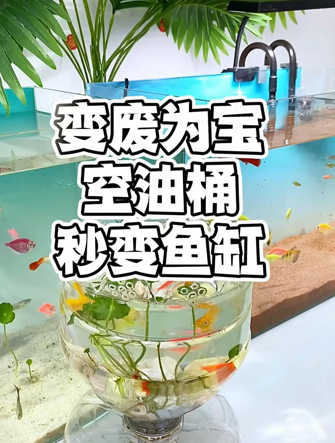 今天教你废物利用,超好看的自制鱼缸