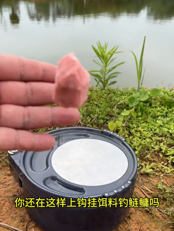 还在上钩挂饵钓鲢鳙?难怪鱼儿不吃饵,老钓鱼演示正确方法!