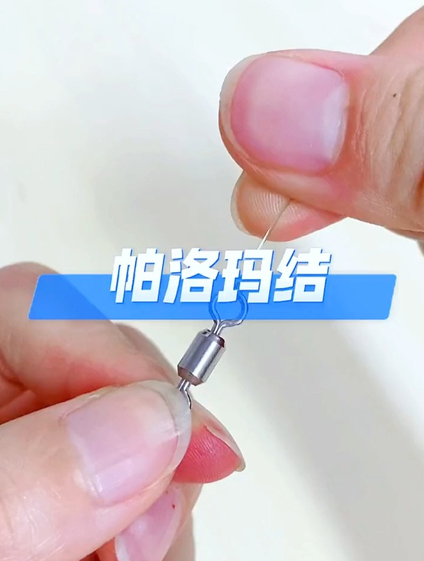 主线连接八字环最常用的打结方法,帕洛玛结绑法分享!