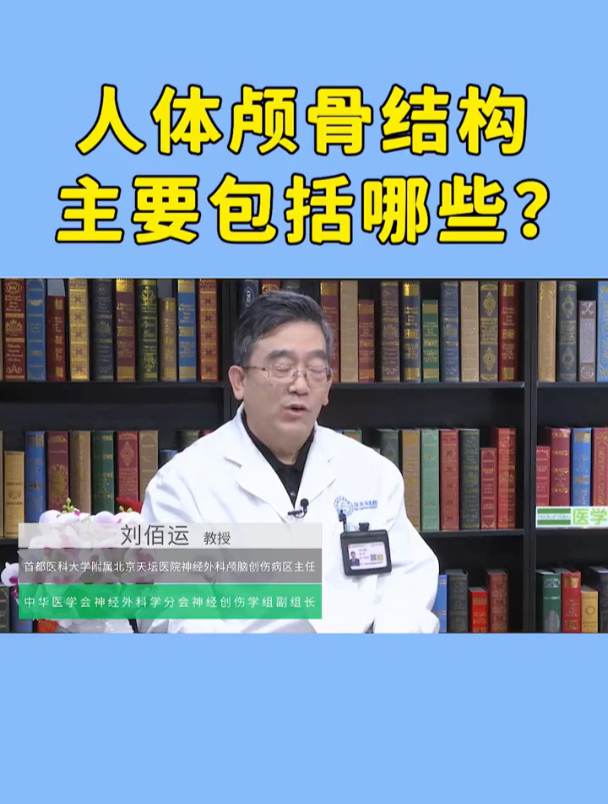 人体颅骨结构主要包括哪些?