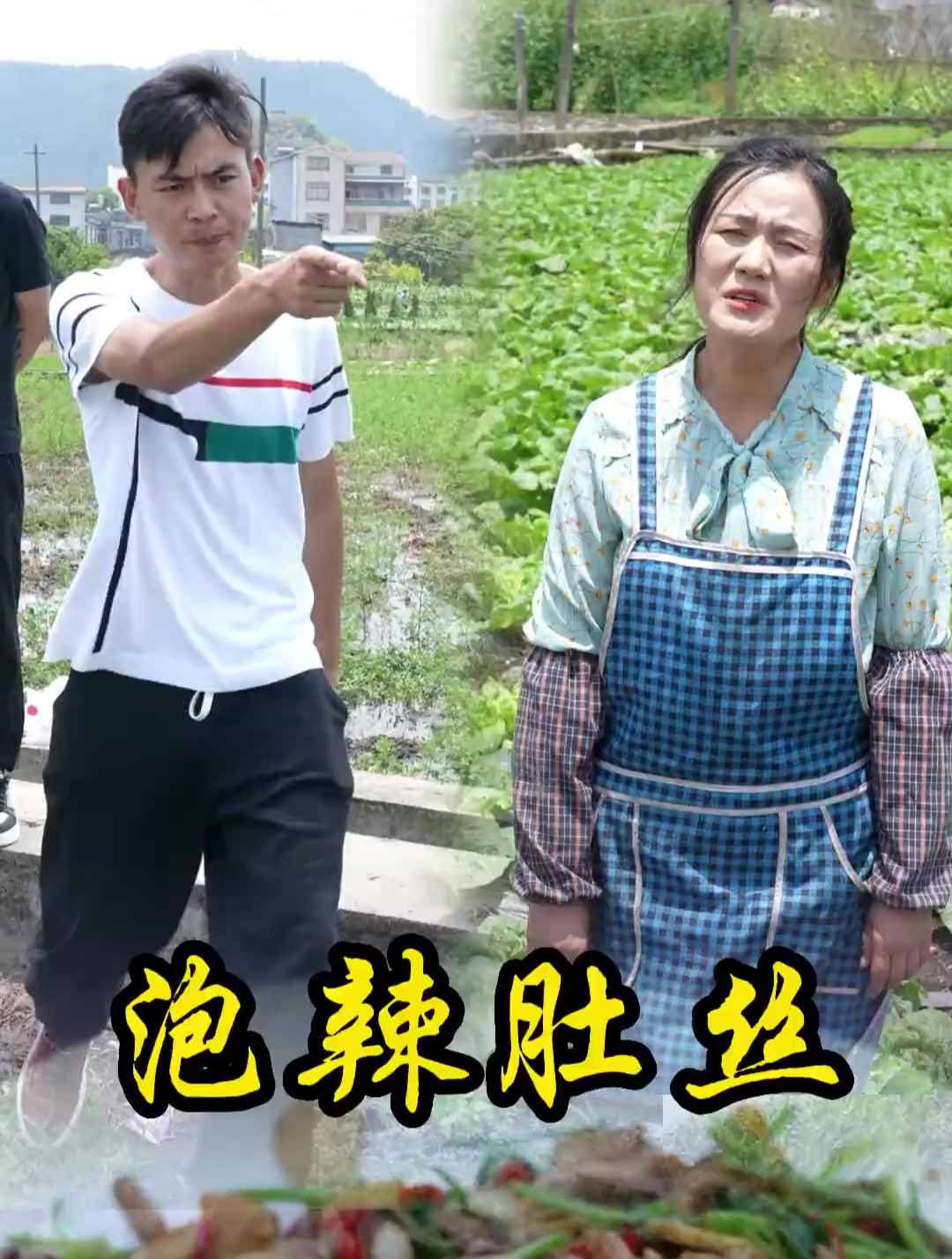 开合作社触碰到村里人的利益,他们来闹,不让我们继续种有机蔬菜