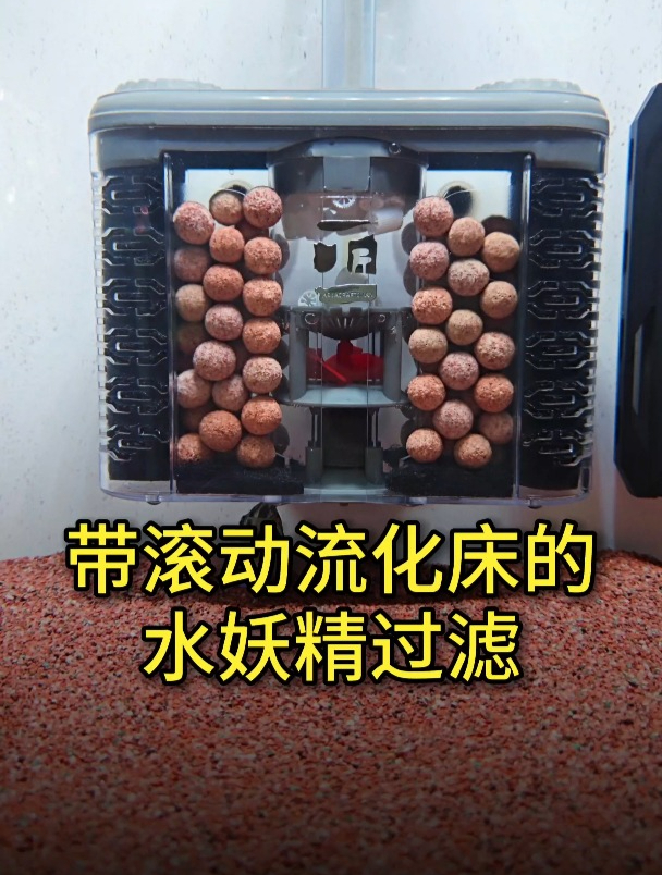 水妖精哪个牌子的好?带流化床的水妖精过滤才是天花板