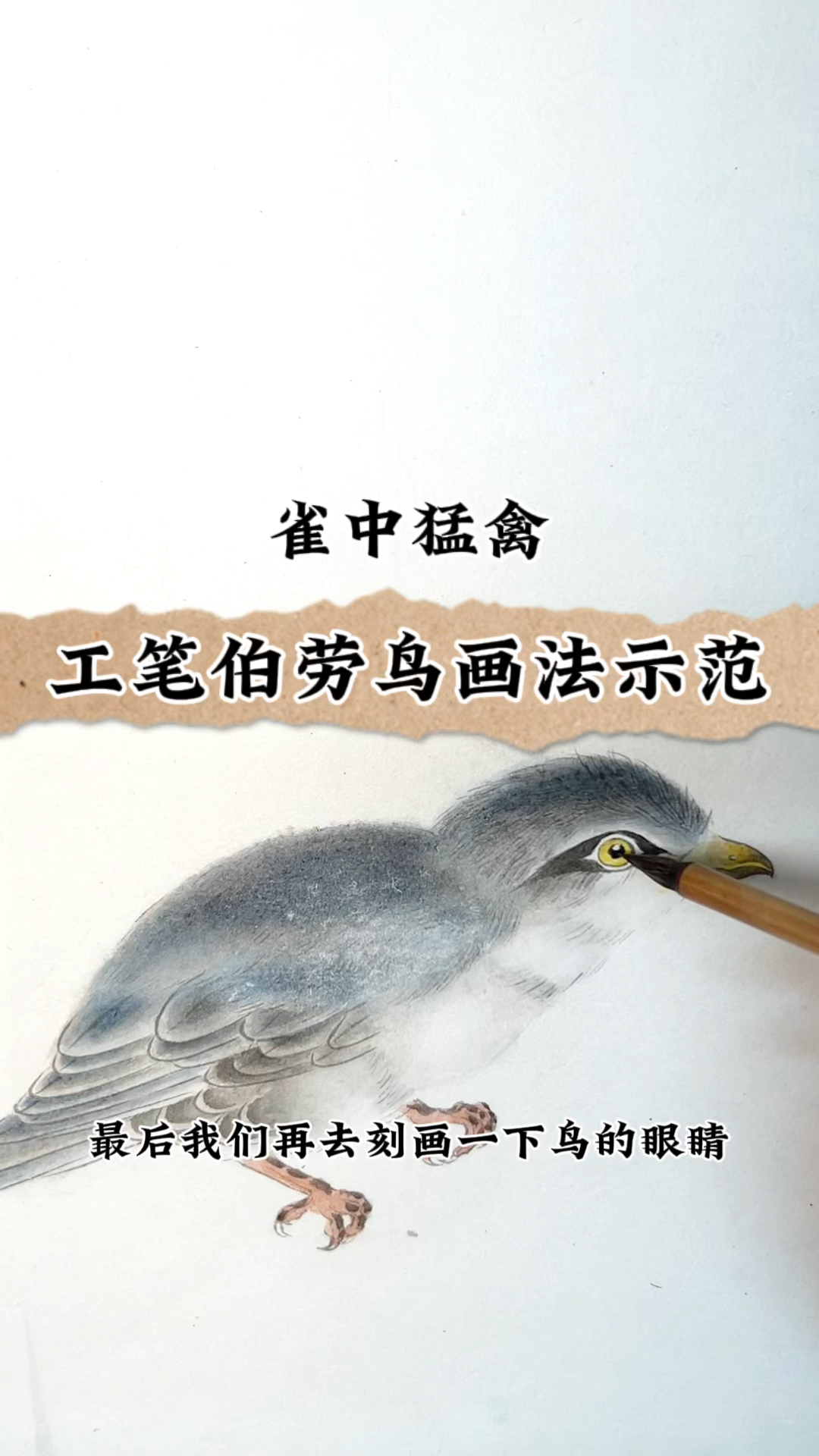 雀中猛禽,工笔伯劳鸟画法示范过程,我来教你画工笔画吧
