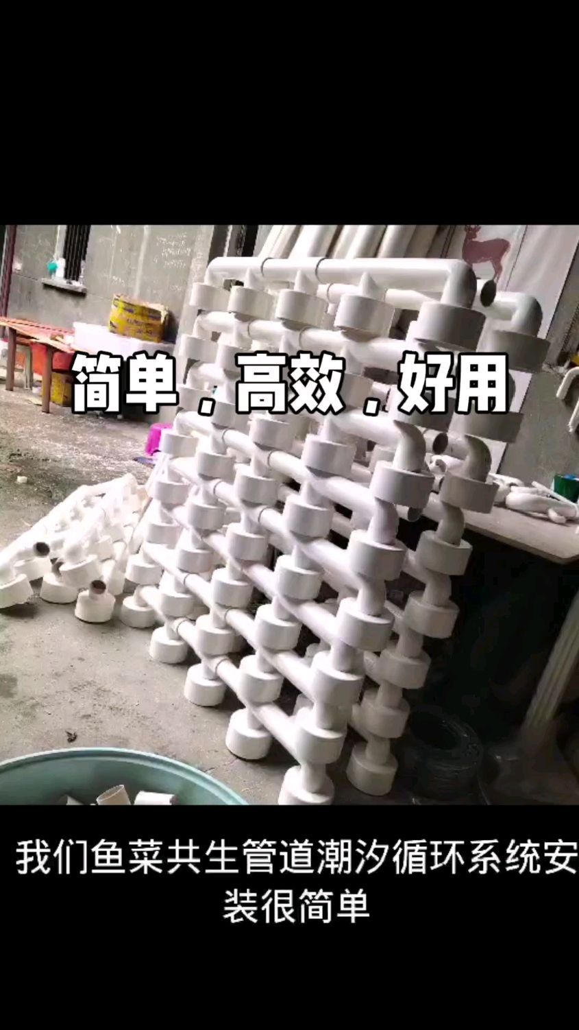 #田园生活 #庭院鱼池 #鱼菜共生 鱼菜共生系统,安装调试很简单