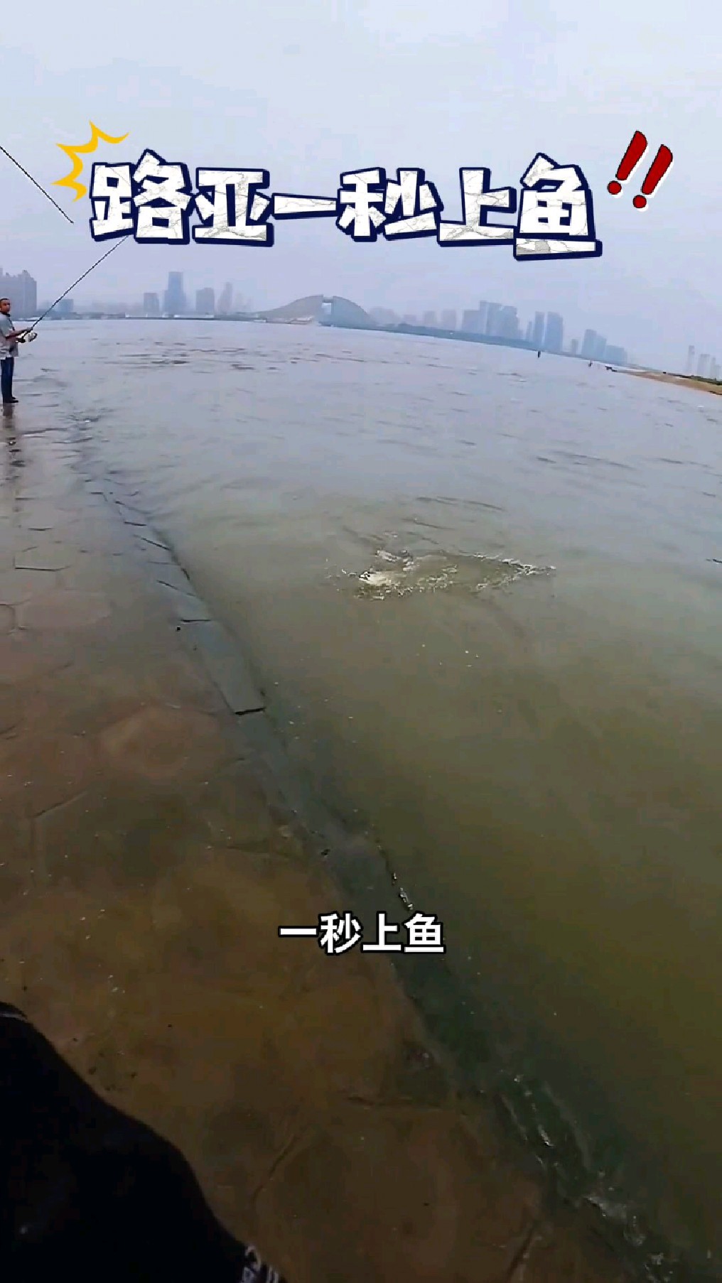 挑战路亚一秒上了大白条,这种鱼刺很多,我不是很喜欢。