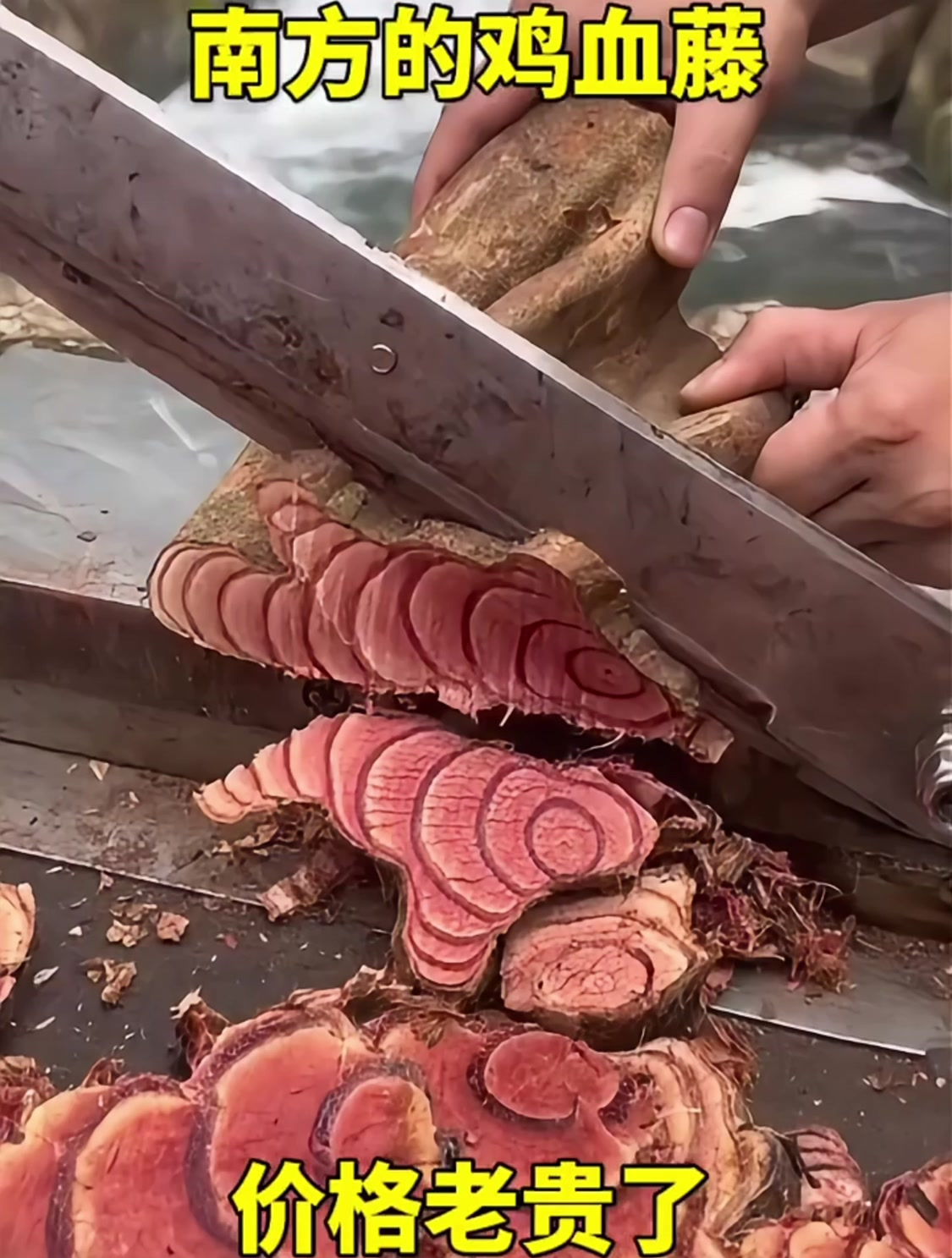 南方的鸡血藤,价格老贵了