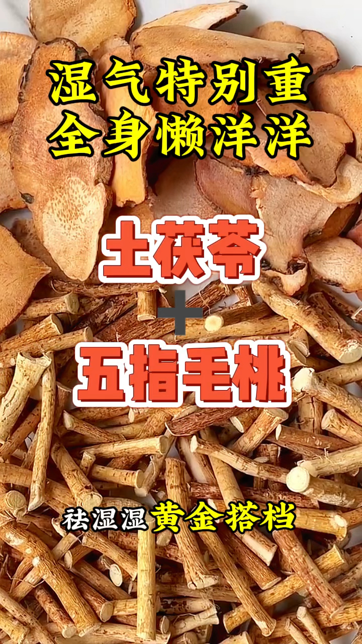 五指毛桃加土茯苓煮水喝,湿气少了轻松太多,你知道吗?