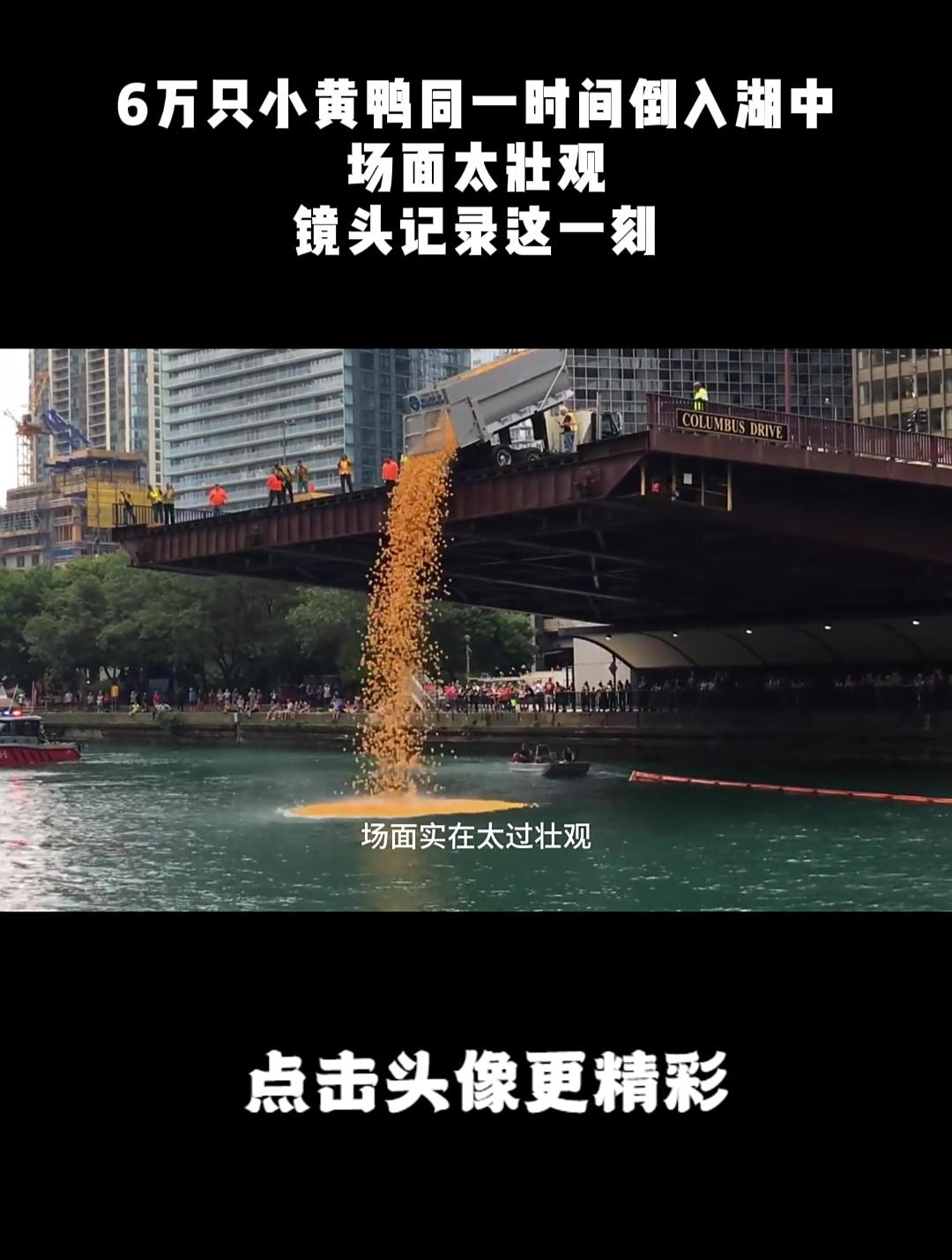 6万只小黄鸭同一时间倒入湖中,场面太壮观,镜头记录这一刻