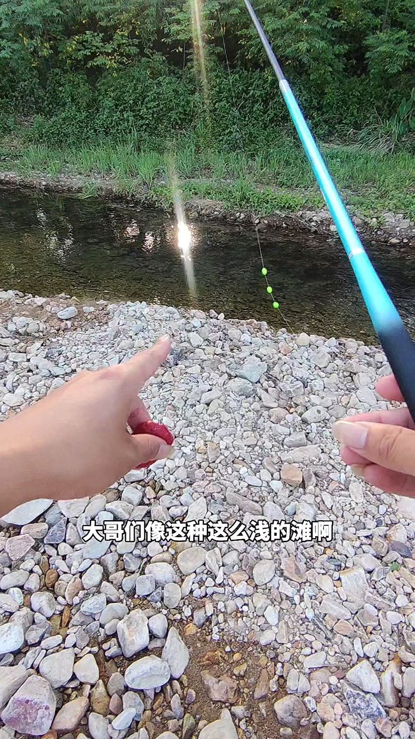 这条是什么鱼种?
