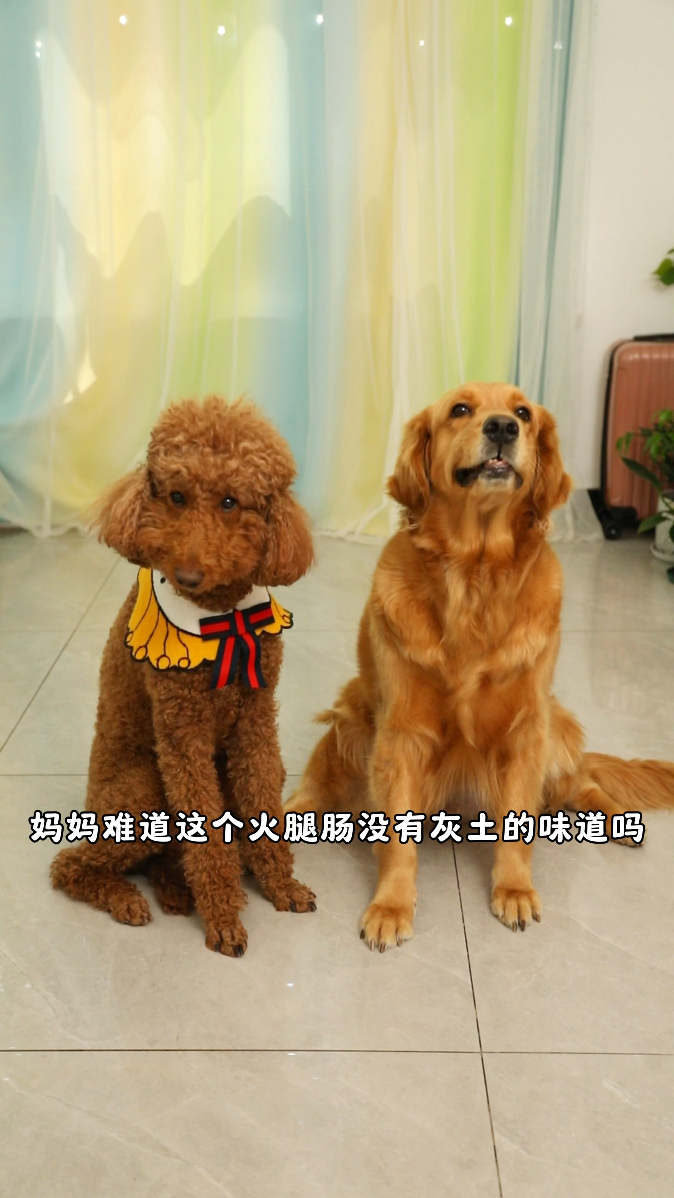 没想到coco奶茶这么坏