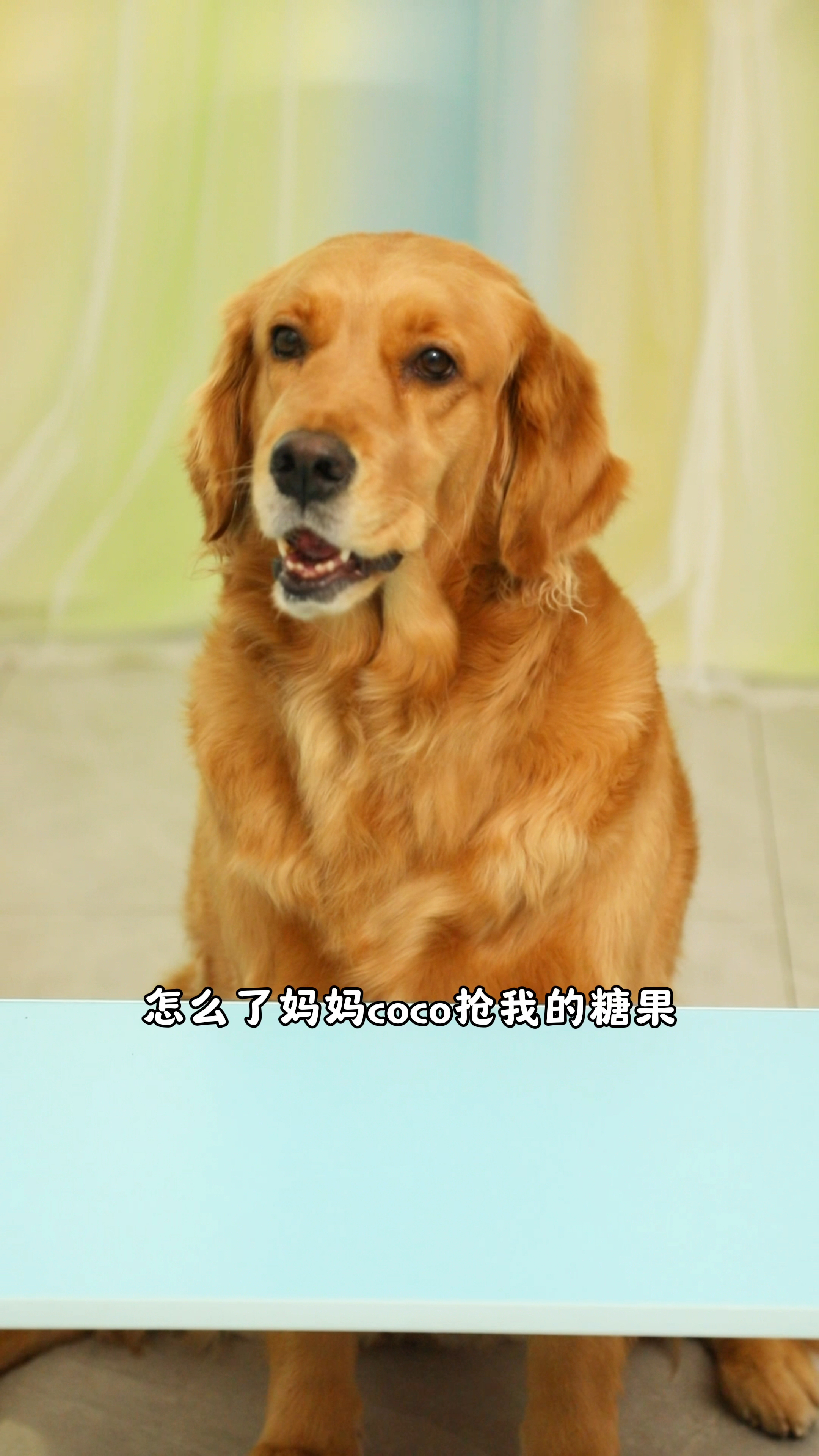 妈妈居然把coco气跑了