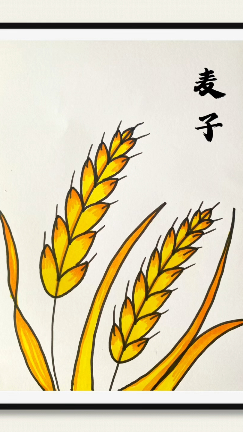 《麦子》简笔画,用简单方法画麦子#儿童画#创意简笔画#丰收