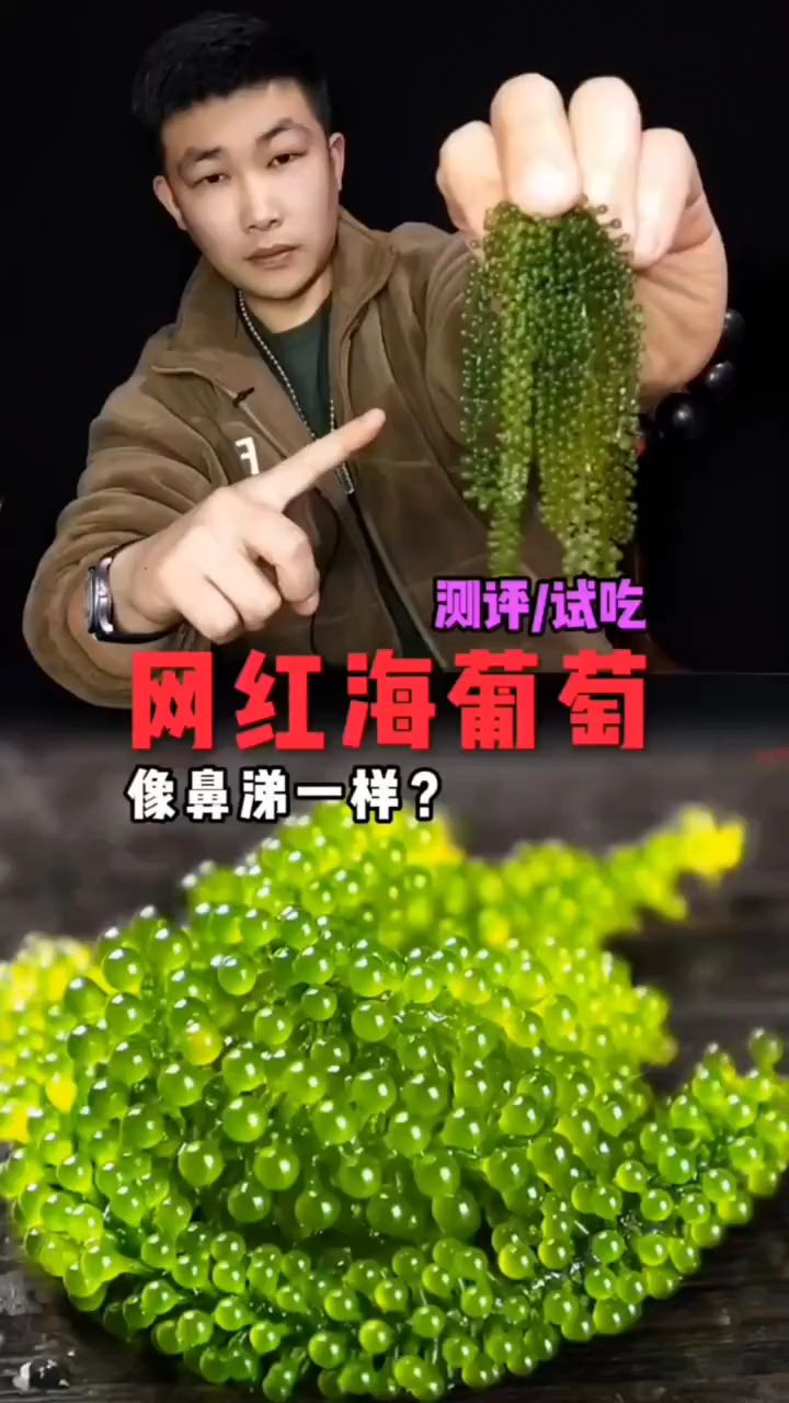 海葡萄像鼻涕一样?