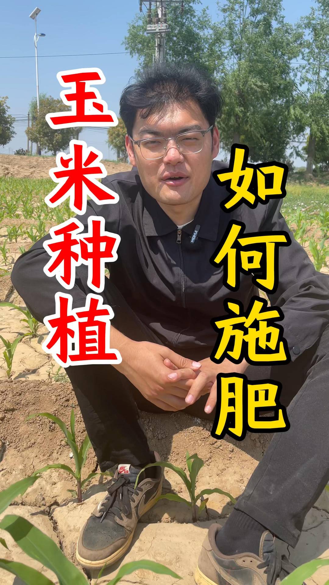 玉米种植 如何施肥