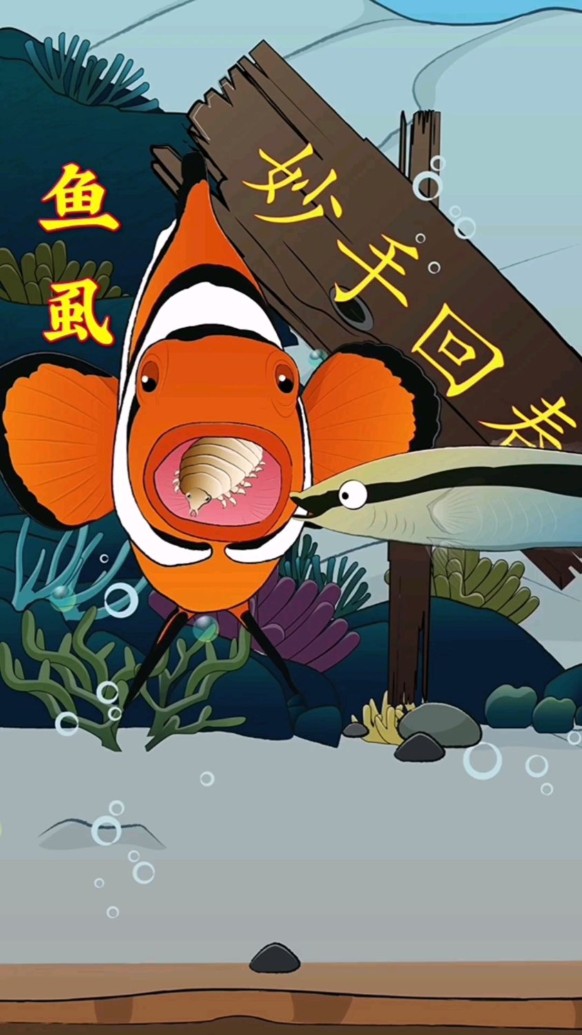 缩头鱼虱会寄生在鱼嘴里,将舌头吸萎缩后,替代舌头功能!