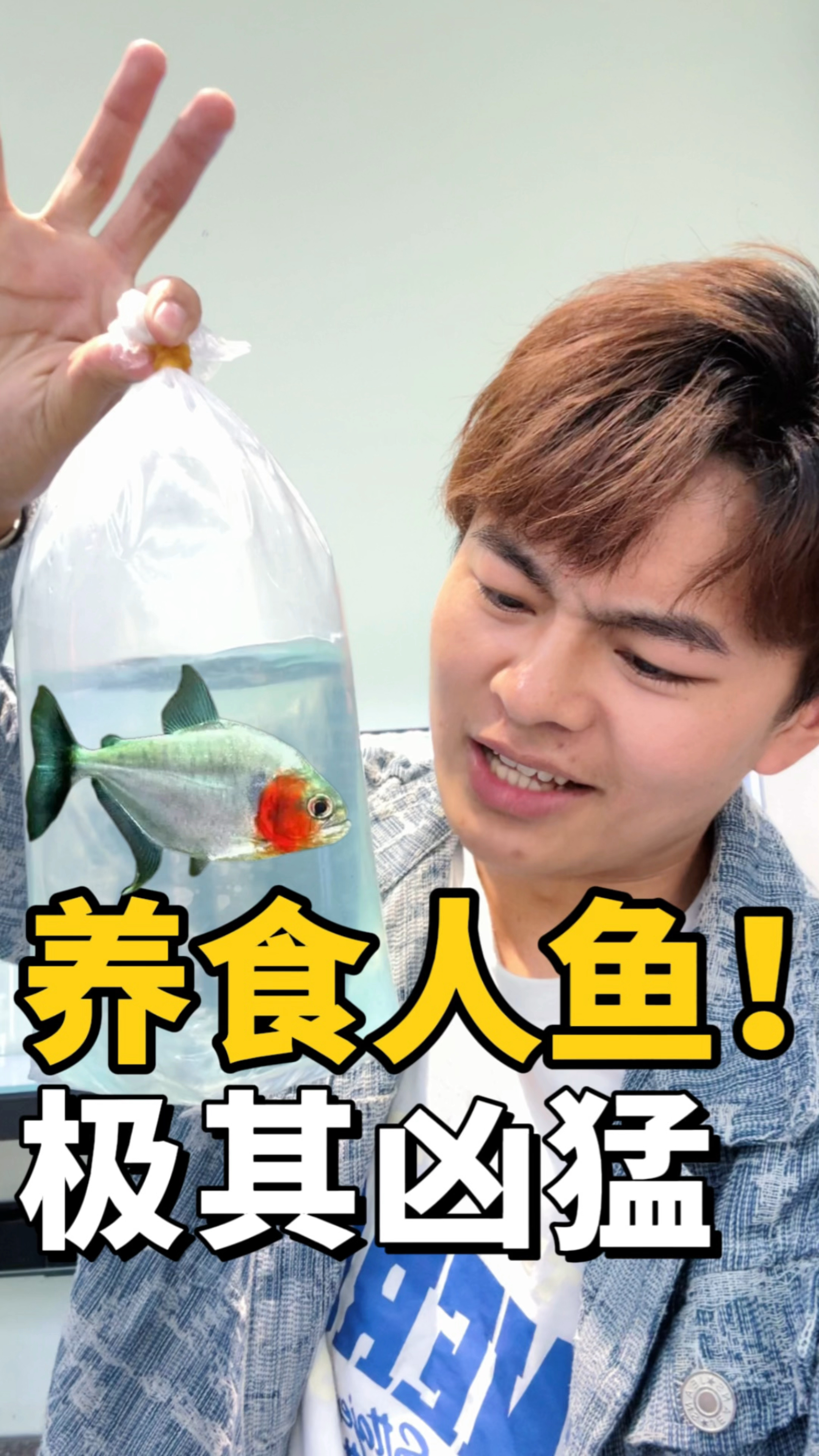 食人鱼再次回归,但这是哪个品种呢?