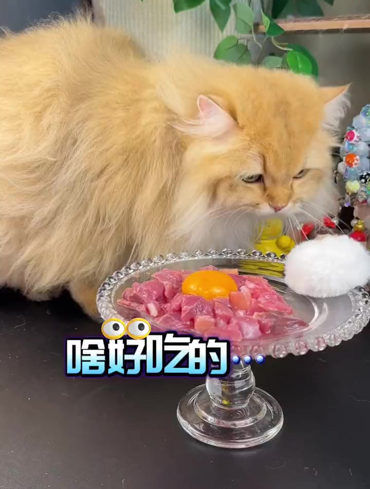 原来吃生骨肉的好处这么多,真后悔没有早点知道