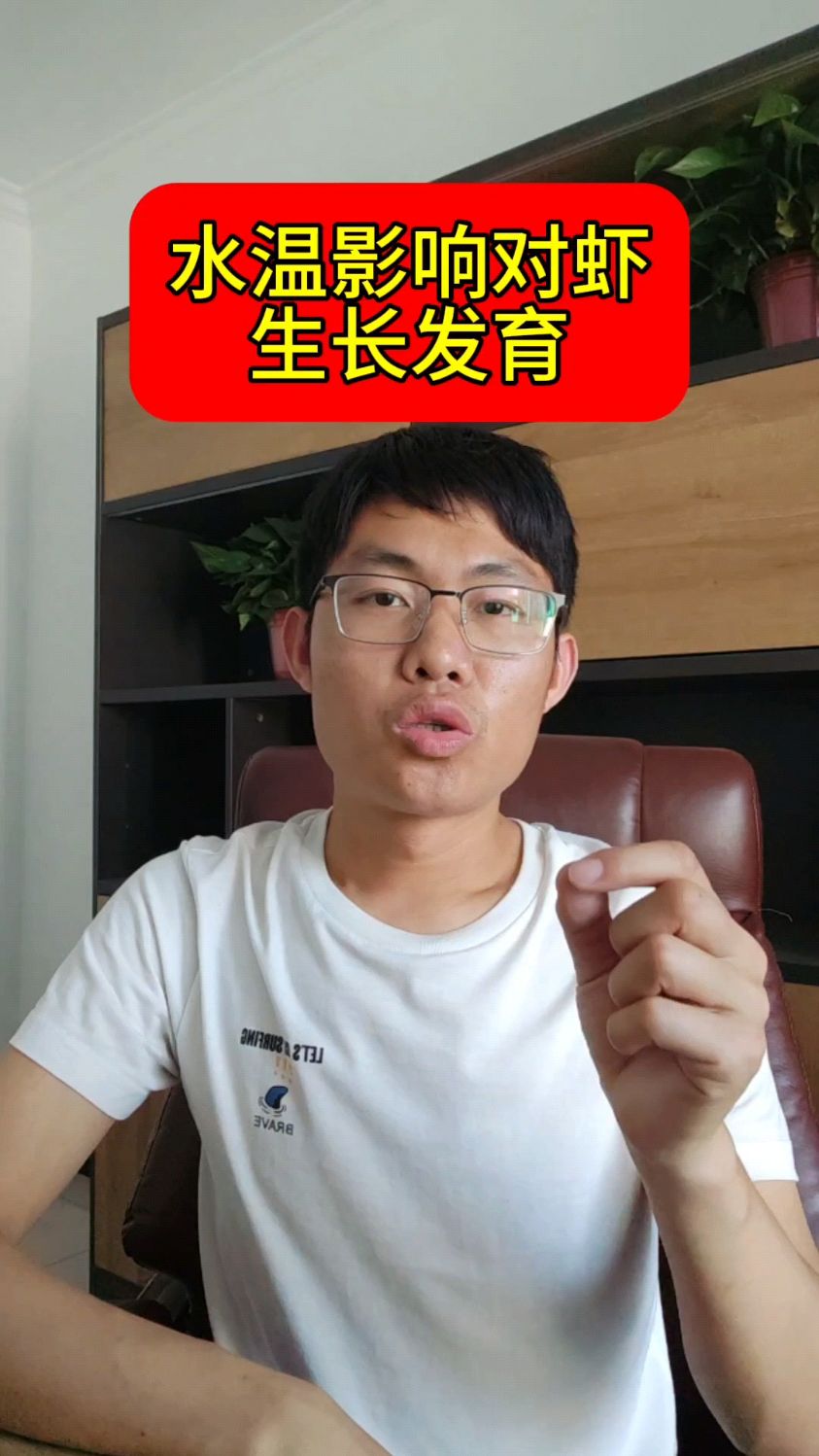水温影响对虾生长发育