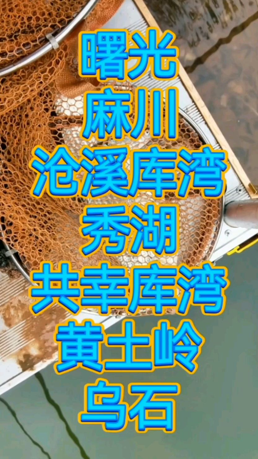 安徽省太平湖钓鱼攻略