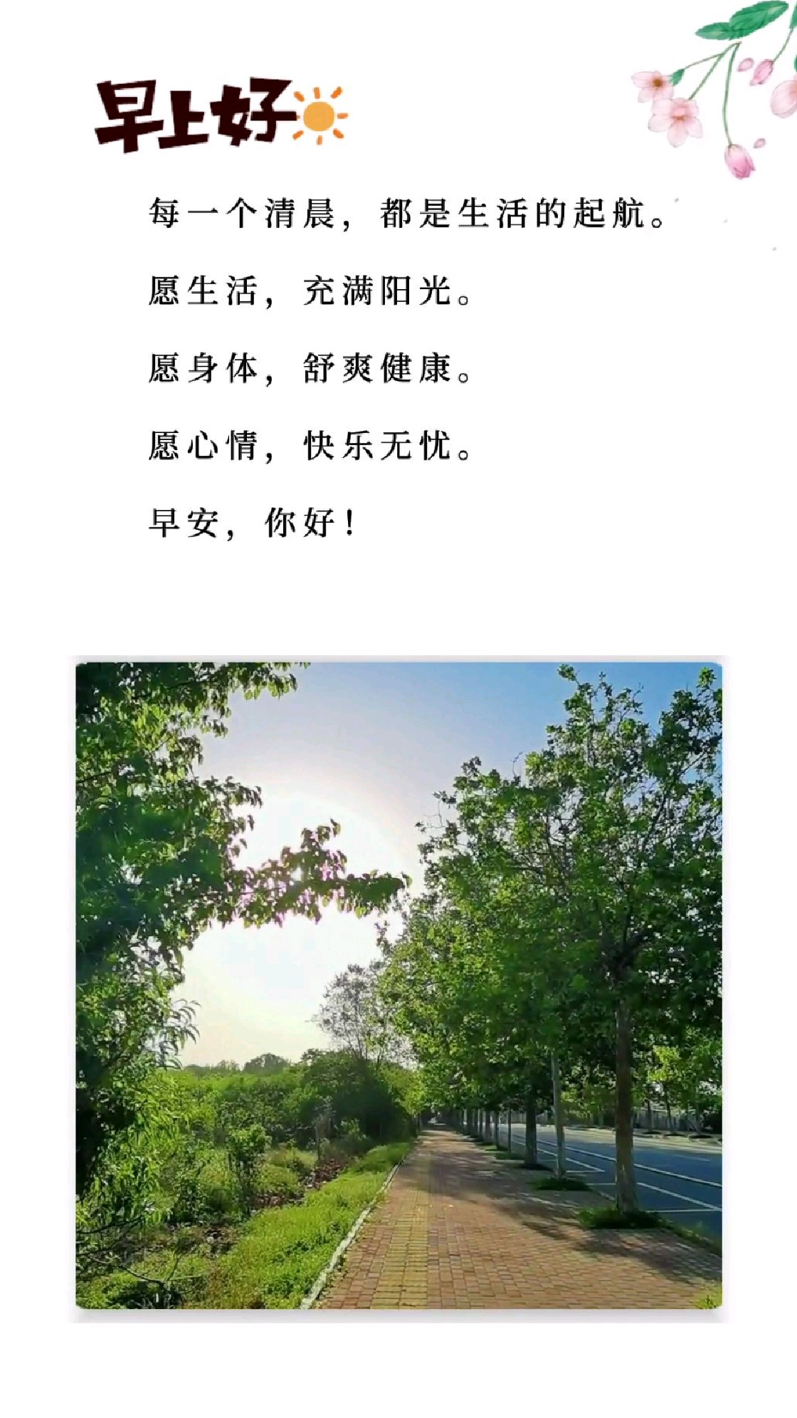 每一个清晨,都是生活的起航。早安你好!