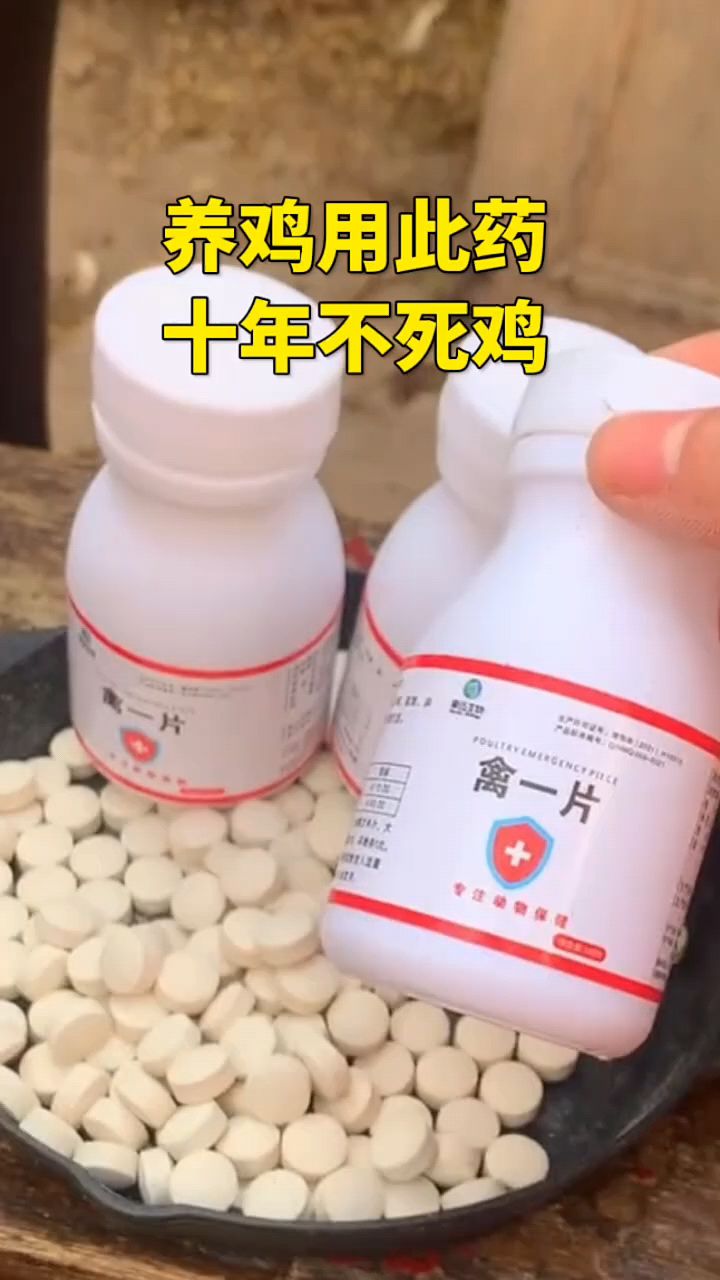 养鸡用此药,10年不死鸡