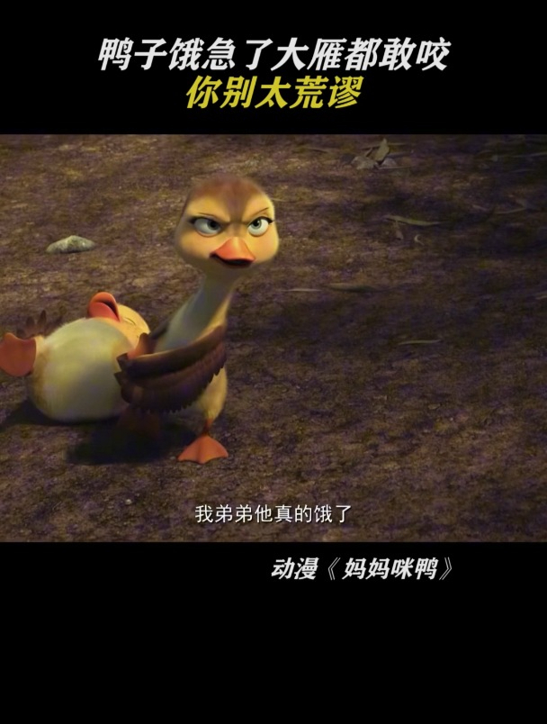 妈妈咪鸭:你别太荒谬