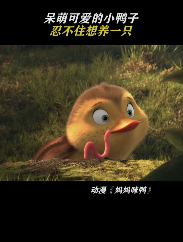 妈妈咪鸭:忍不住想养一只