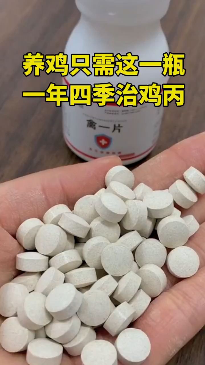养鸡只需这一瓶,一年四季治鸡病