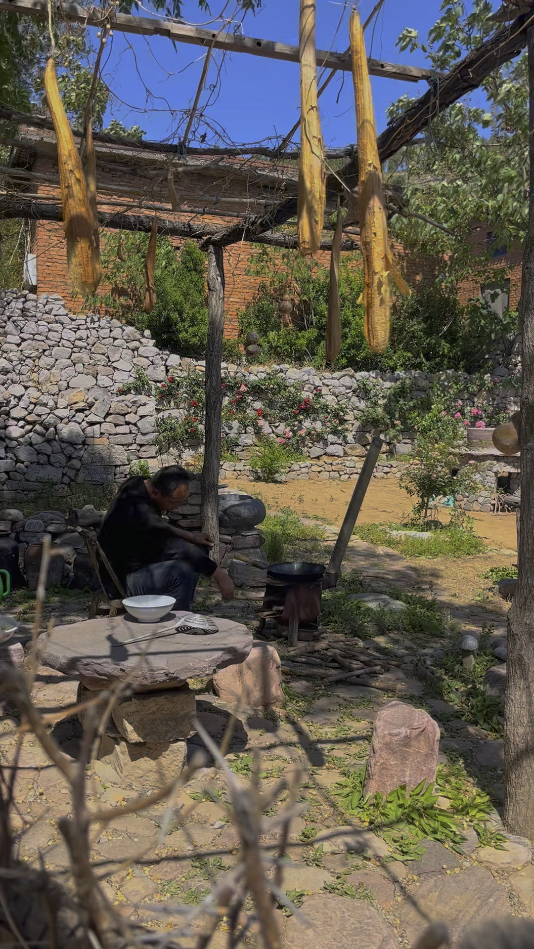 农村家常版红烧茄子,搭配上大米饭,太下饭了