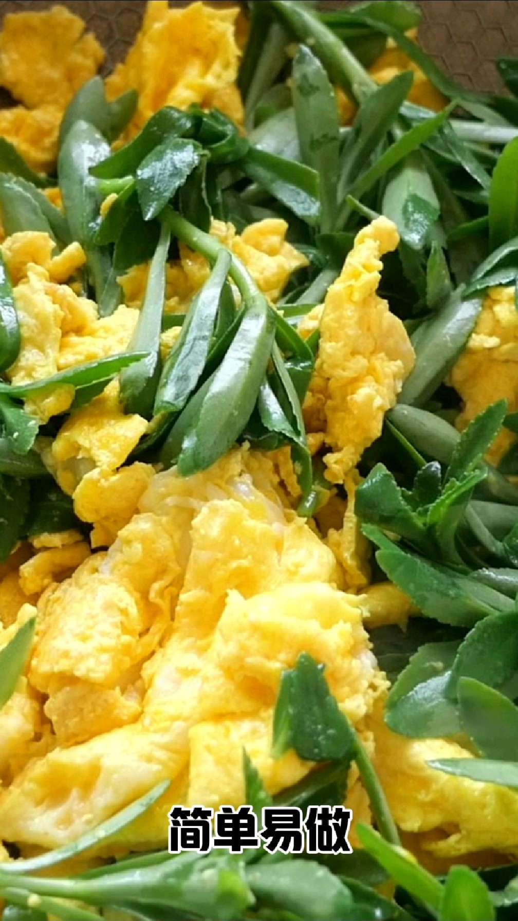 这个季节一定不要错过了养心菜,解决了很多人的大麻烦